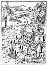 Van hen die anderen corrigeren en toch zelf niets doen en erger zondigen dan degenen die zij zo corrigeren, illustratie uit Alexander Barclay